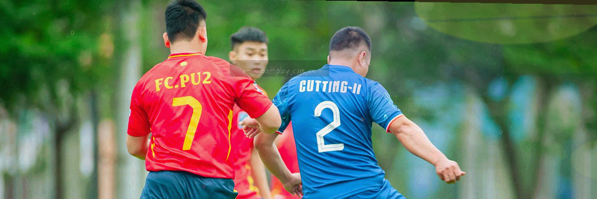 海洋波浪与数字线条构成的横幅